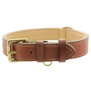 Top 9 Best Leather Dog Collars & Leashes in 2023 - Leather Toolkits
