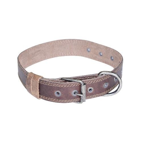 Top 9 Best Leather Dog Collars & Leashes in 2024 - Leather Toolkits