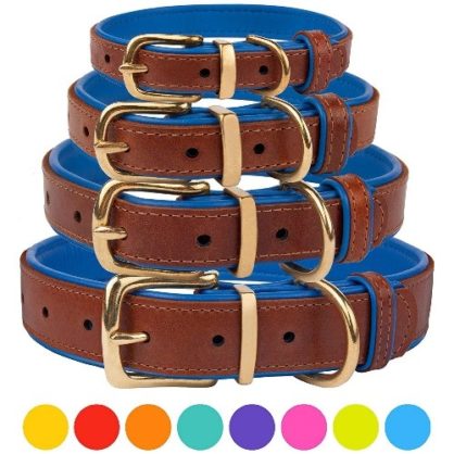 Top 9 Best Leather Dog Collars & Leashes in 2024 - Leather Toolkits