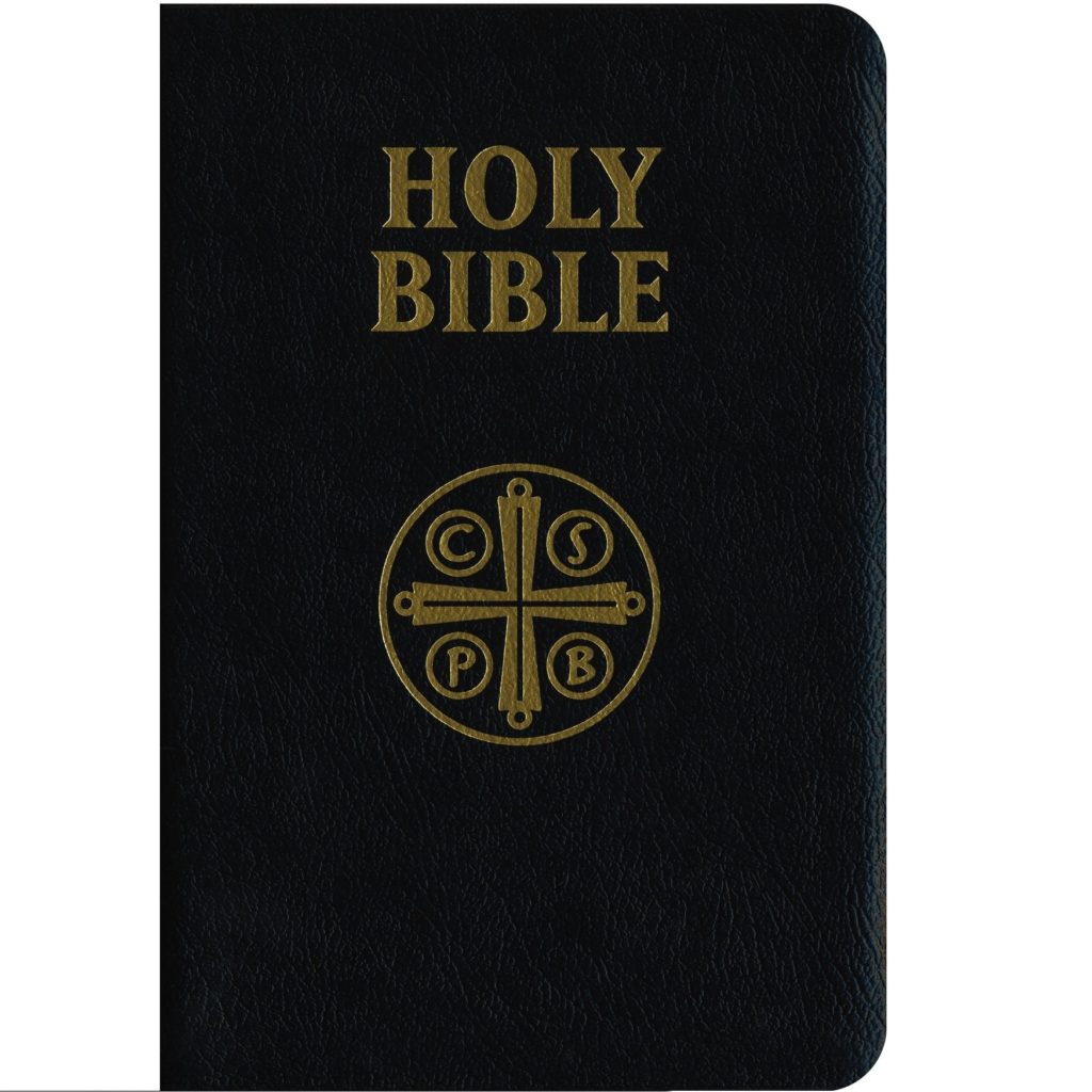 Top 5 Best Leather Bibles in 2024 Leather Toolkits