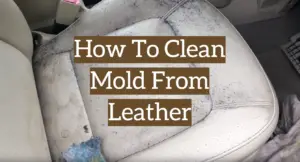 How To Clean Mold From Leather