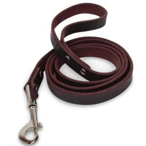 Mighty Paw Leather Dog Leash, Super Soft Distressed Leather