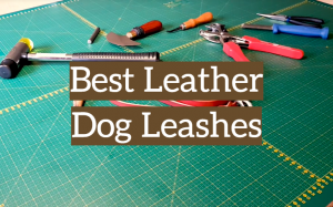 5 Best Leather Dog Leashes