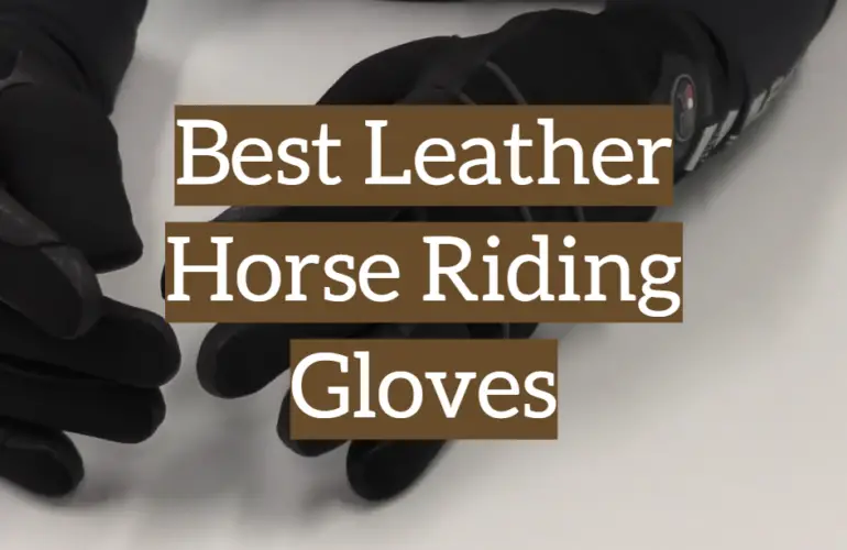 5 Best Leather Horse Riding Gloves