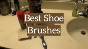 5 Best Shoe Brushes