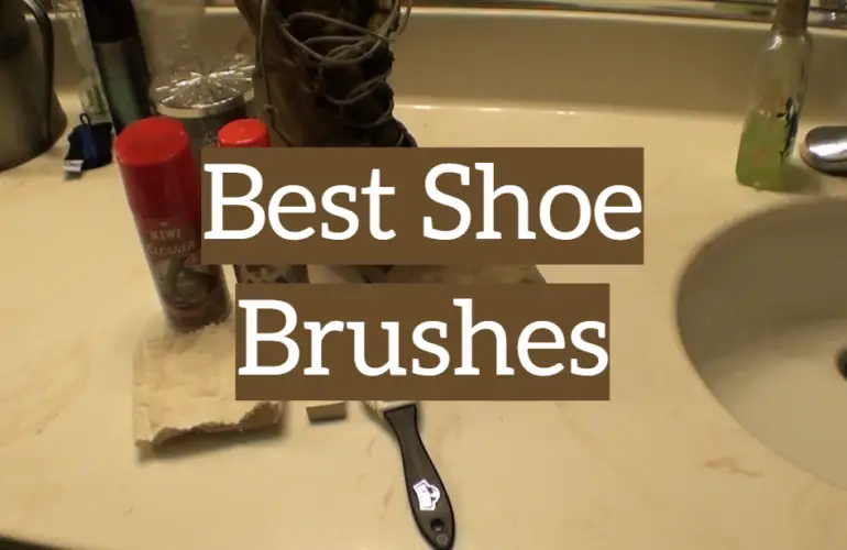 5 Best Shoe Brushes