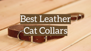 5 Best Leather Cat Collars