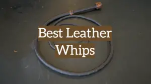 5 Best Leather Whips