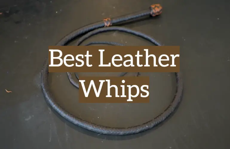 Top 5 Leather Whips [2020 Reviews] Leather Toolkits