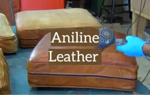 The Guidelines for Users of Aniline Leather