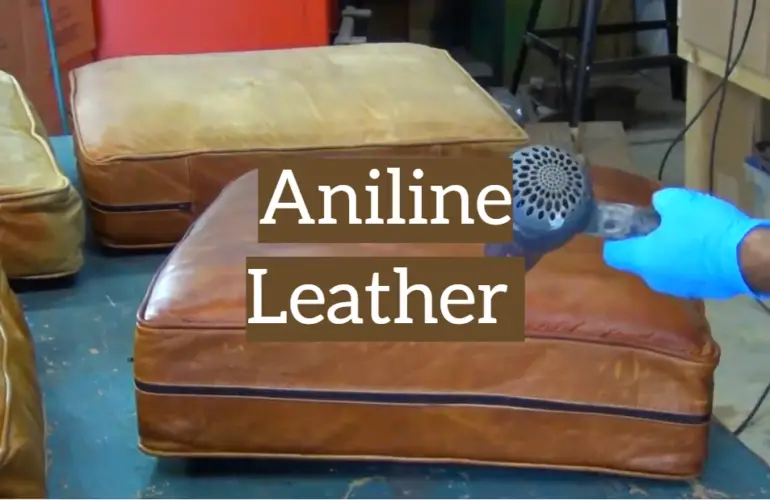 Aniline Leather The Guidelines for Users Leather Toolkits