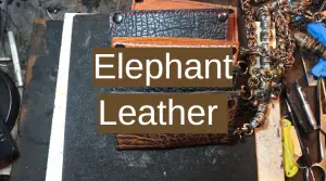 Elephant Leather