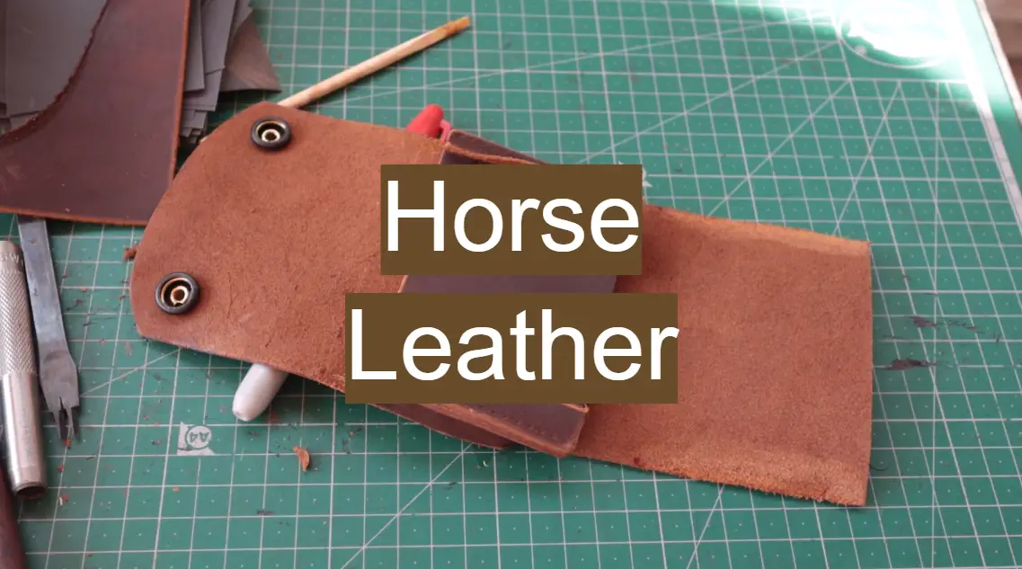 Horse Leather Uses, Care and Maintenance Leather Toolkits