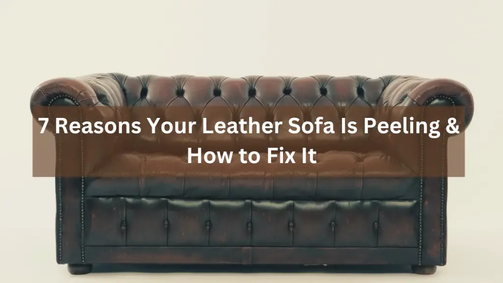 7 Reasons Your Leather Sofa Is Peeling & How to Fix It • Leather Toolkits