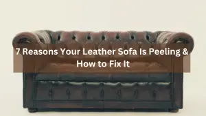 7 Reasons Your Leather Sofa Is Peeling & How to Fix It